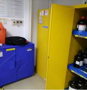 Szafy bezpieczeństwa SYSBEL SYSBEL safety cabinets